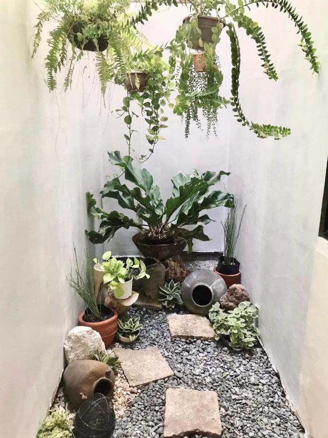 Nord House Laoag Pansiyon Dış mekan fotoğraf